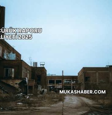 Bina Çürük Raporu Maliyeti 2025