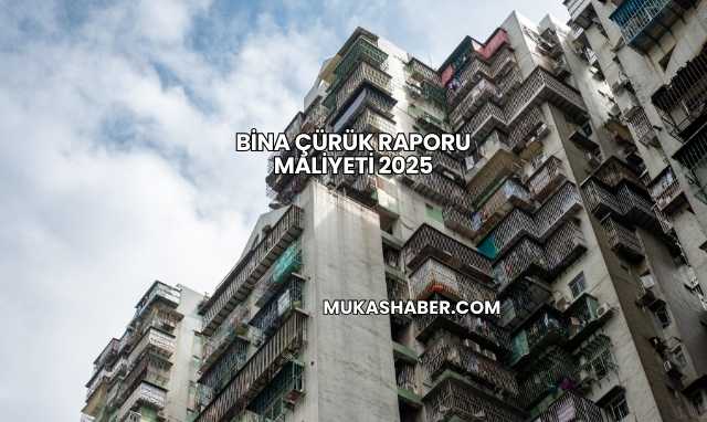 Bina Çürük Raporu Maliyeti 2025