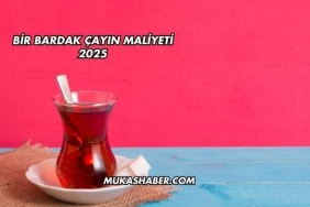 Bir Bardak Çayın Maliyeti 2025
