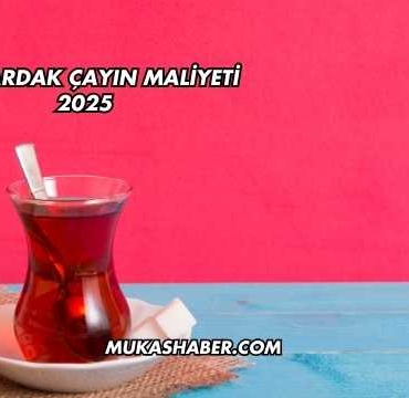 Bir Bardak Çayın Maliyeti 2025