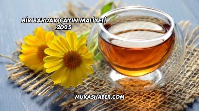 Bir Bardak Çayın Maliyeti 2025