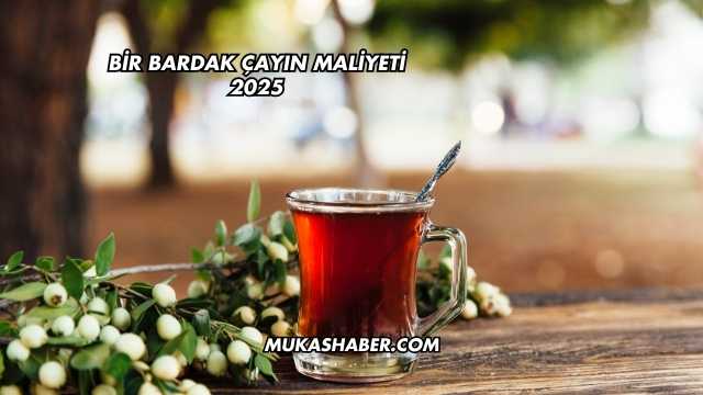 Bir Bardak Çayın Maliyeti 2025