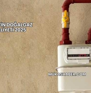 Bir Evin Doğalgaz Maliyeti 2025