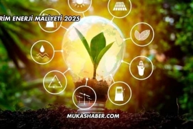 Birim Enerji Maliyeti 2025
