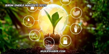 Birim Enerji Maliyeti 2025