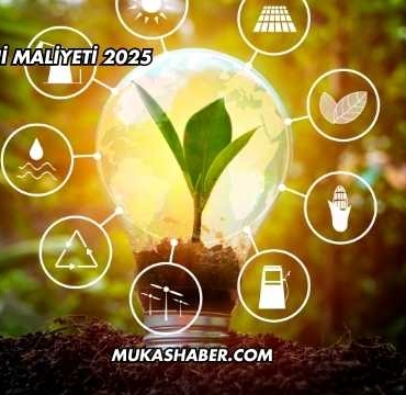 Birim Enerji Maliyeti 2025