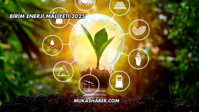 Birim Enerji Maliyeti 2025