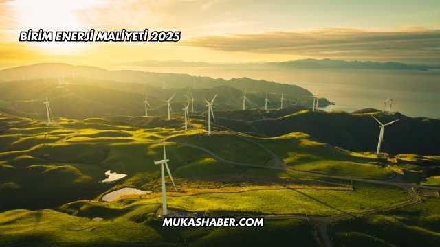Birim Enerji Maliyeti 2025