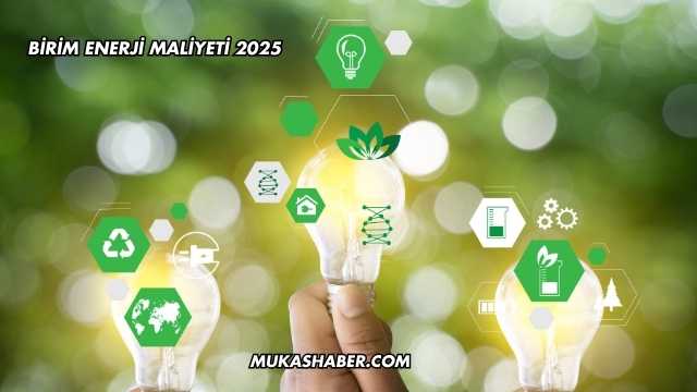 Birim Enerji Maliyeti 2025