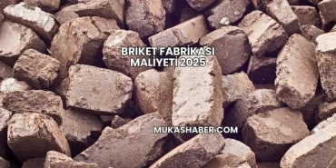 Briket Fabrikası Maliyeti 2025