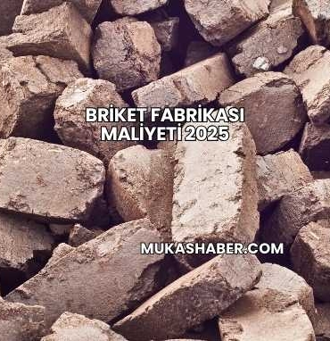 Briket Fabrikası Maliyeti 2025