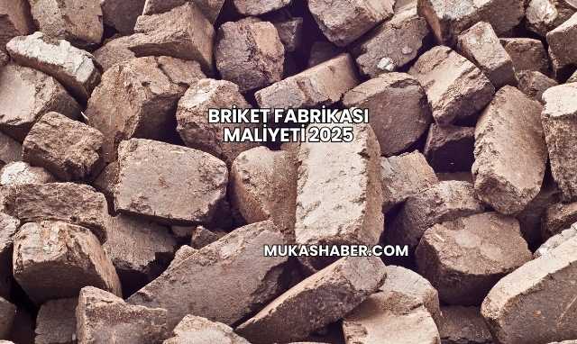 Briket Fabrikası Maliyeti 2025