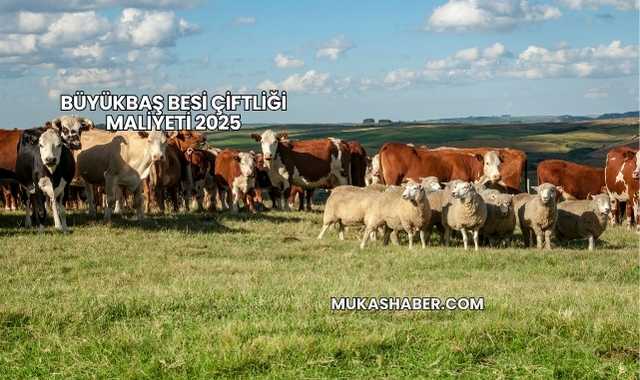 Büyükbaş Besi Çiftliği Maliyeti 2025