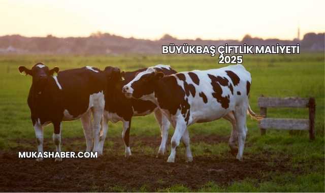 Büyükbaş Çiftlik Maliyeti 2025
