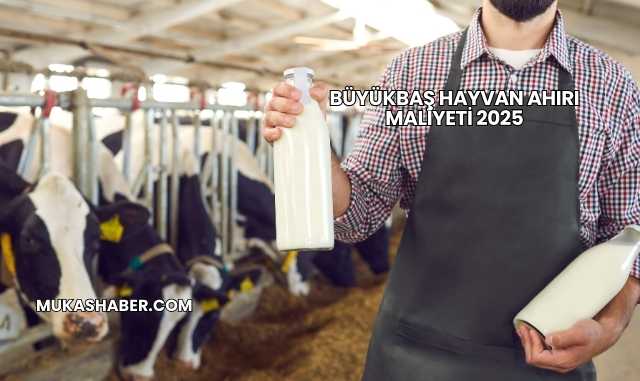 Büyükbaş Hayvan Ahırı Maliyeti 2025