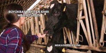 Büyükbaş Hayvan Ahırı Maliyeti 2025