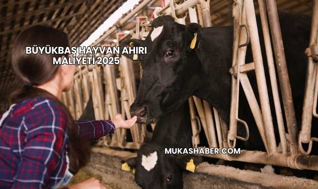 Büyükbaş Hayvan Ahırı Maliyeti 2025