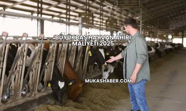 Büyükbaş Hayvan Ahırı Maliyeti 2025