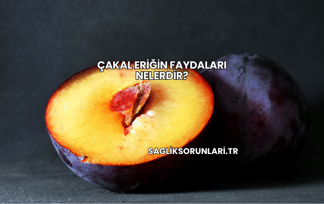 Çakal Eriğin Faydaları Nelerdir?