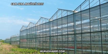 Cam Sera Maliyeti 2025