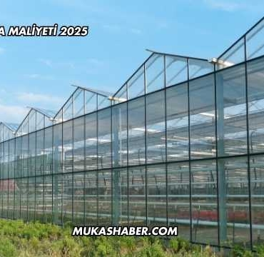 Cam Sera Maliyeti 2025