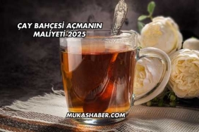 Çay Bahçesi Açmanın Maliyeti 2025