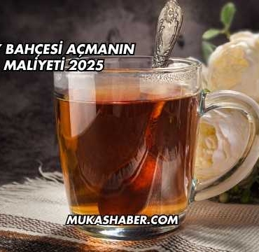 Çay Bahçesi Açmanın Maliyeti 2025