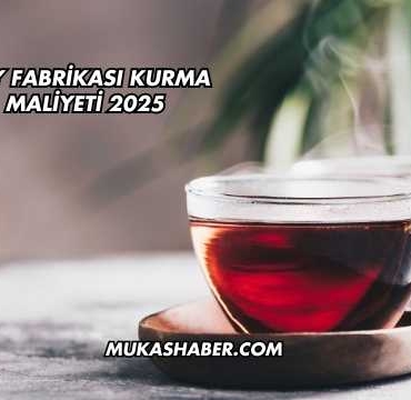 Çay Fabrikası Kurma Maliyeti 2025