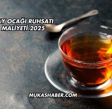 Çay Ocağı Ruhsatı Maliyeti 2025