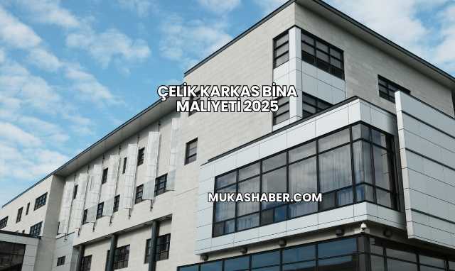 Çelik Karkas Bina Maliyeti 2025