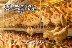 Çelik Konstrüksiyon Tavuk Çiftliği Maliyeti 2025