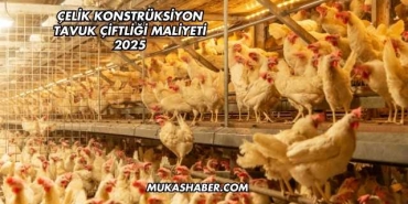 Çelik Konstrüksiyon Tavuk Çiftliği Maliyeti 2025