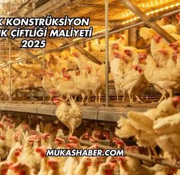 Çelik Konstrüksiyon Tavuk Çiftliği Maliyeti 2025
