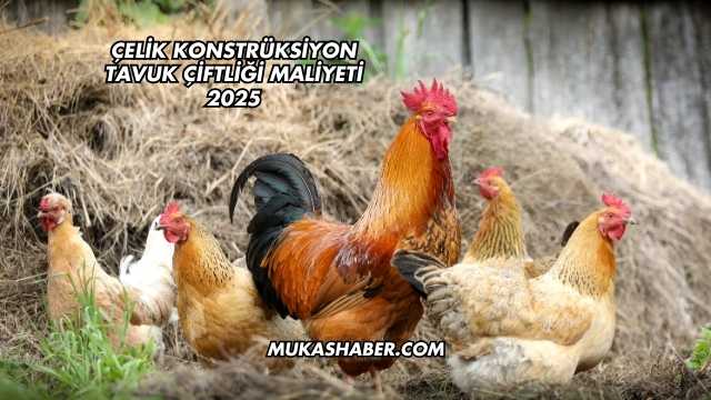 Çelik Konstrüksiyon Tavuk Çiftliği Maliyeti 2025