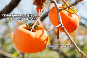 Cennet Hurmasının Yüze Faydaları Nelerdir?