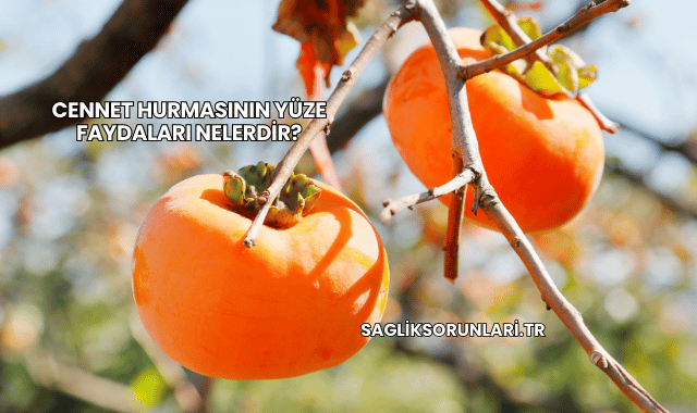 Cennet Hurmasının Yüze Faydaları Nelerdir?