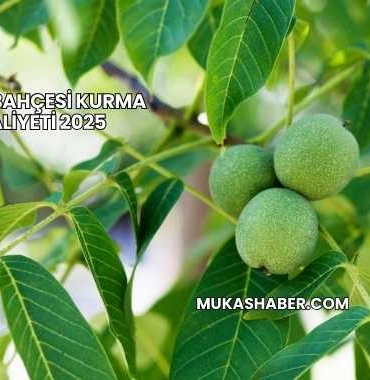 Ceviz Bahçesi Kurma Maliyeti 2025
