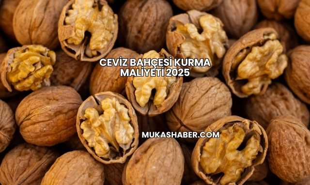 Ceviz Bahçesi Kurma Maliyeti 2025