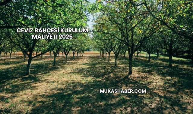 Ceviz Bahçesi Kurulum Maliyeti 2025