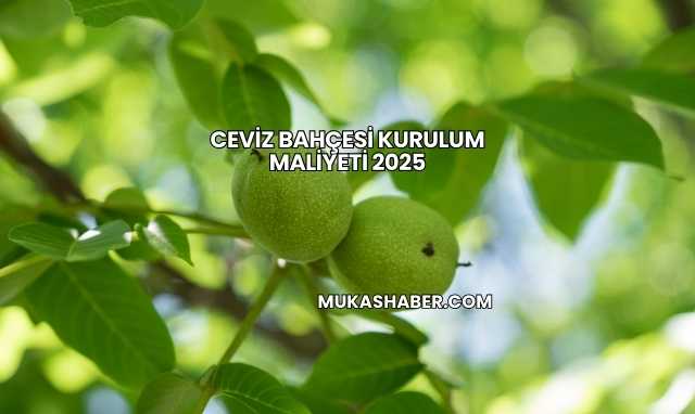 Ceviz Bahçesi Kurulum Maliyeti 2025