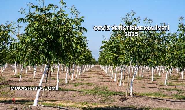 Ceviz Yetiştirme Maliyeti 2025