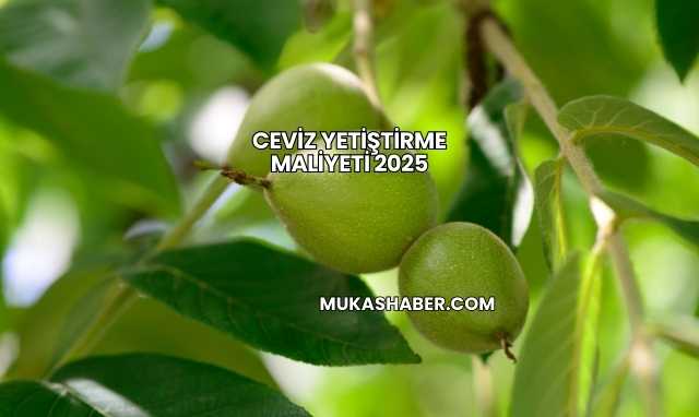 Ceviz Yetiştirme Maliyeti 2025