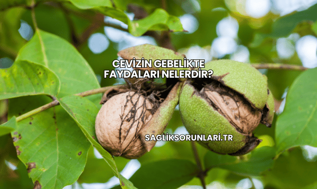 Cevizin Gebelikte Faydaları Nelerdir?