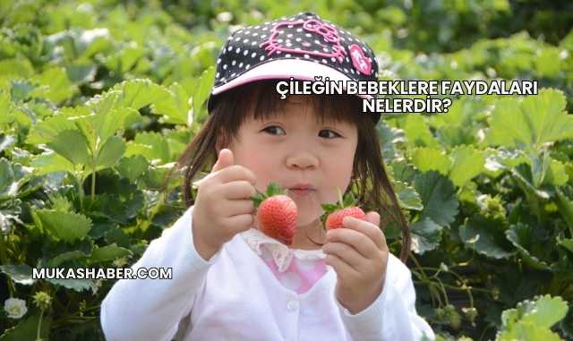 Çileğin Bebeklere Faydaları Nelerdir?