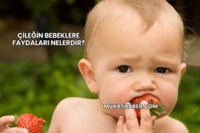 Çileğin Bebeklere Faydaları Nelerdir?