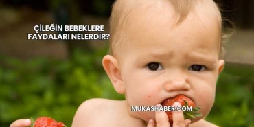 Çileğin Bebeklere Faydaları Nelerdir?