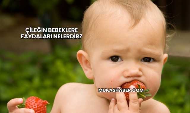 Çileğin Bebeklere Faydaları Nelerdir?