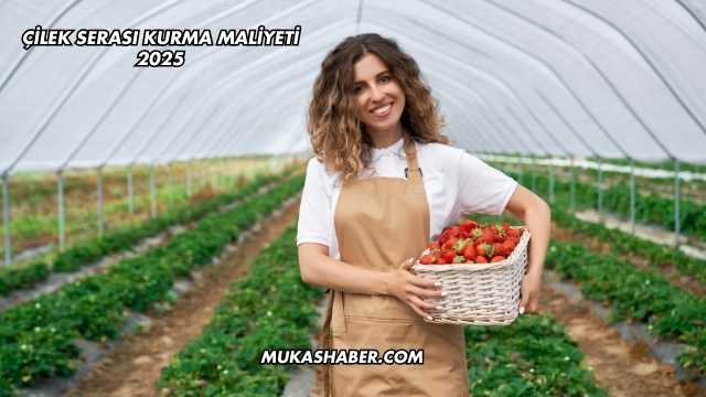 Çilek Serası Kurma Maliyeti 2025