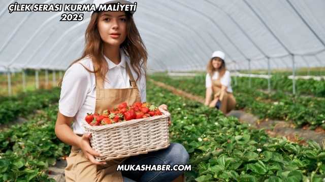 Çilek Serası Kurma Maliyeti 2025