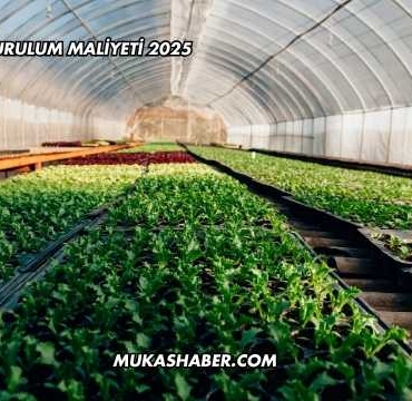 Çilek Serası Kurulum Maliyeti 2025